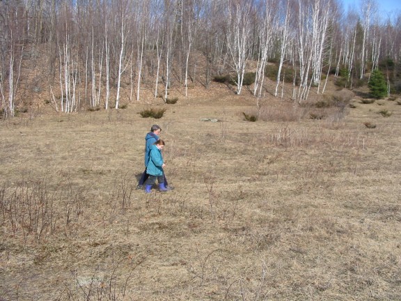 576x432 pixels (103K)